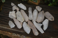 Natural Large Single Quartz Crystals  x 31 From Madagascar