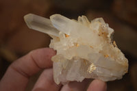 Natural Clear Quartz Crystal Clusters  x 24 From Madagascar