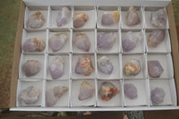 Natural Single Spirit Amethyst Quartz Crystals  x 24 From Boekenhouthoek, South Africa - Toprock Gemstones and Minerals 