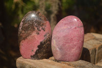 Polished  Pink & Black Rhodonite Standing Free Forms x 2 From Madagascar