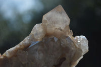 Natural Cascading White Phantom Smokey Quartz Clusters  x 3 From Luena, Congo - Toprock Gemstones and Minerals 