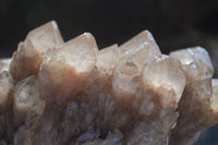 Natural Smokey Phantom Quartz Cluster x 1 From Luena, Congo