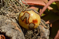 Polished Septarian (Calcite & Aragonite) Spheres  x 6 From Mahajanga, Madagascar - TopRock