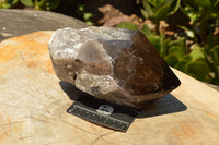 Natural Large Smokey Quartz Crystal With Polished Termination  x 1 From Melanje, Malawi - TopRock