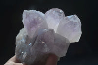 Natural Jacaranda Amethyst Clusters  x 3 From Zambia - Toprock Gemstones and Minerals 