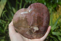 Polished Petrified Red Podocarpus Wood Heart x 1 From Madagascar - Toprock Gemstones and Minerals 