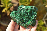 Natural Chatoyant Silky Malachite Specimens  x 5 From Kasompe, Congo - TopRock