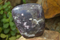 Polished Purple Lepidolite Free Forms  x 6 From Zimbabwe - Toprock Gemstones and Minerals 