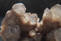 Natural Smokey Phantom Quartz Cluster x 1 From Luena, Congo