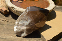 Natural Large Smokey Quartz Crystal With Polished Termination  x 1 From Melanje, Malawi - TopRock