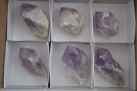 Polished Single Jacaranda Amethyst Crystals  x 6 From Zambia - Toprock Gemstones and Minerals 