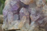 Natural Jacaranda Amethyst Cluster x 1 From Mumbwa, Zambia - TopRock