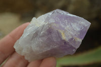 Natural Single Jacaranda Amethyst Crystals x 12 From Mumbwe, Zambia