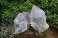 Natural Large Single Amethyst Crystals  x 3 From Mapatizya, Zambia - Toprock Gemstones and Minerals 