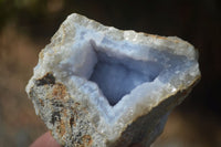 Natural Blue Lace Agate Geode Specimens  x 12 From Nsanje, Malawi - Toprock Gemstones and Minerals 