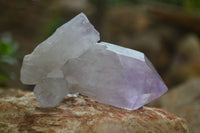 Natural Single Jacaranda Amethyst Crystals  x 12 From Zambia - Toprock Gemstones and Minerals 