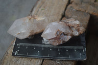 Natural Single Pineapple Candle Quartz Crystals  x 35 From Antsirabe, Madagascar - Toprock Gemstones and Minerals 