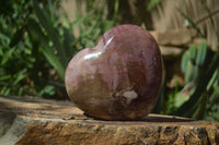 Polished Petrified Red Podocarpus Wood Heart x 1 From Madagascar - Toprock Gemstones and Minerals 