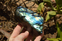 Polished Labradorite Standing Free Forms With Intense Blue & Gold Flash x 3 From Tulear, Madagascar - TopRock