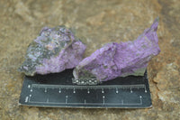 Natural Rough Stichtite Cobbed Specimens x 24 From Barberton, South Africa