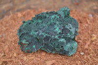 Natural Chatoyant Silky Malachite Specimens  x 6 From Kasompe, Congo - Toprock Gemstones and Minerals 