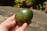 Polished Green Verdite Palm Stones  x 12 From Zimbabwe - TopRock