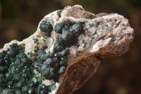 Natural Rare Ball Malachite On Drusy Quartz & Dolomite Matrix Specimens  x 2 From Kambove, Congo