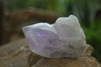 Natural Single Jacaranda Amethyst Crystals  x 12 From Zambia - Toprock Gemstones and Minerals 