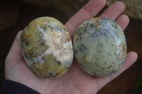 Polished Dendritic Opal Palm Stones  x 6 From Madagascar - Toprock Gemstones and Minerals 