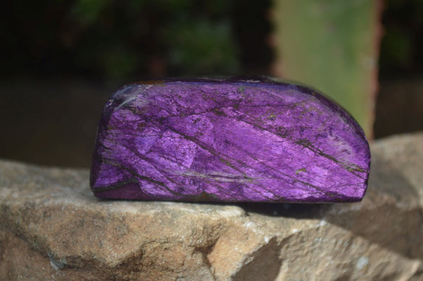 Polished One Side Polished Purpurite Free Forms x 12 From Erongo, Namibia