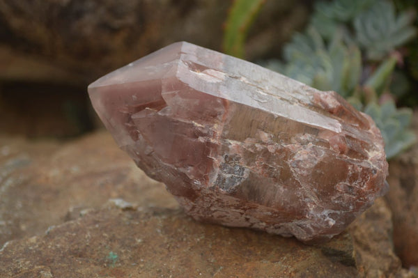 Natural Red Hematoid Quartz Specimens x 3 From Karoi, Zimbabwe - TopRock