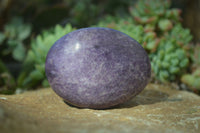 Polished Large Lepidolite Palm Stones  x 6 From Zimbabwe