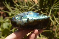 Polished Labradorite Standing Free Forms With Intense Blue & Gold Flash x 3 From Tulear, Madagascar - TopRock