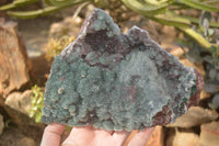 Natural Drusy Coated Ball Malachite On Dolomite Specimen  x 1 From Likasi, Congo