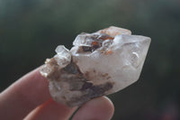 Natural Single Pineapple Candle Quartz Crystals  x 35 From Antsirabe, Madagascar - Toprock Gemstones and Minerals 