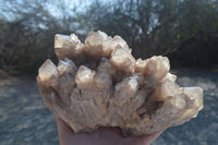 Natural Smokey Phantom Quartz Cluster x 1 From Luena, Congo