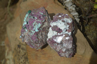 Natural Pink Salrose Cobaltion Dolomite Specimens  x 2 From Kakanda, Congo