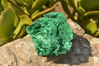 Natural Chatoyant Silky Malachite Specimens  x 5 From Kasompe, Congo - TopRock