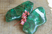 Polished Malachite Free Forms With Stunning Flower & Banding Patterns x 2 From Kolwezi, Congo - TopRock