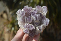 Natural Sugar Amethyst Clusters  x 4 From Zambia