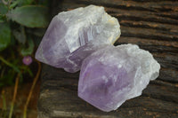 Polished Single Jacaranda Amethyst Crystals  x 6 From Zambia - Toprock Gemstones and Minerals 