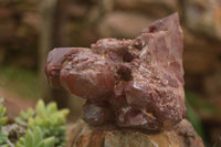 Natural Red Hematoid Quartz Specimens x 3 From Karoi, Zimbabwe - TopRock