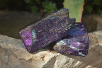 Polished One Side Polished Purpurite Free Forms x 12 From Erongo, Namibia