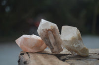 Natural Single Pineapple Candle Quartz Crystals  x 35 From Antsirabe, Madagascar - Toprock Gemstones and Minerals 