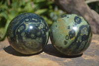 Polished Stromatolite / Kambamba Jasper Spheres  x 4 From Madagascar - Toprock Gemstones and Minerals 