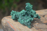 Natural Chatoyant Silky Malachite Specimens  x 6 From Kasompe, Congo - Toprock Gemstones and Minerals 