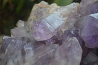 Natural Jacaranda Amethyst Cluster x 1 From Mumbwa, Zambia - TopRock