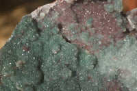 Natural Drusy Coated Ball Malachite On Dolomite Specimen  x 1 From Likasi, Congo