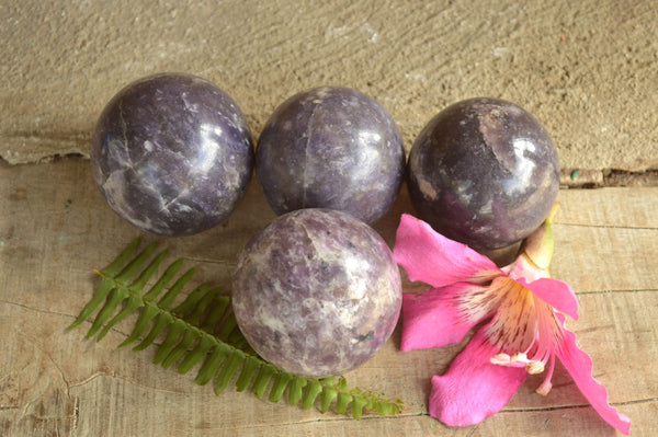 Polished Dark Purple Lepidolite Spheres x 4 From Madagascar - TopRock