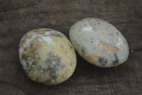 Polished Dendritic Opal Palm Stones  x 6 From Madagascar - Toprock Gemstones and Minerals 